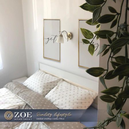 Zoe Apartment Vrsac Extérieur photo