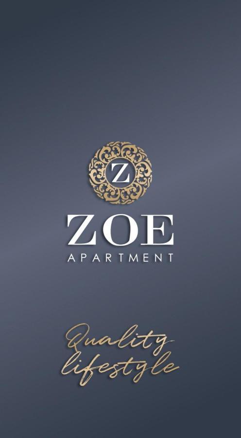 Zoe Apartment Vrsac Extérieur photo