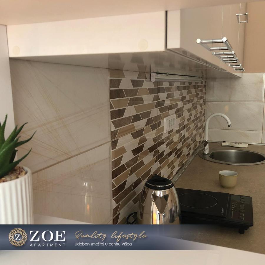 Zoe Apartment Vrsac Extérieur photo