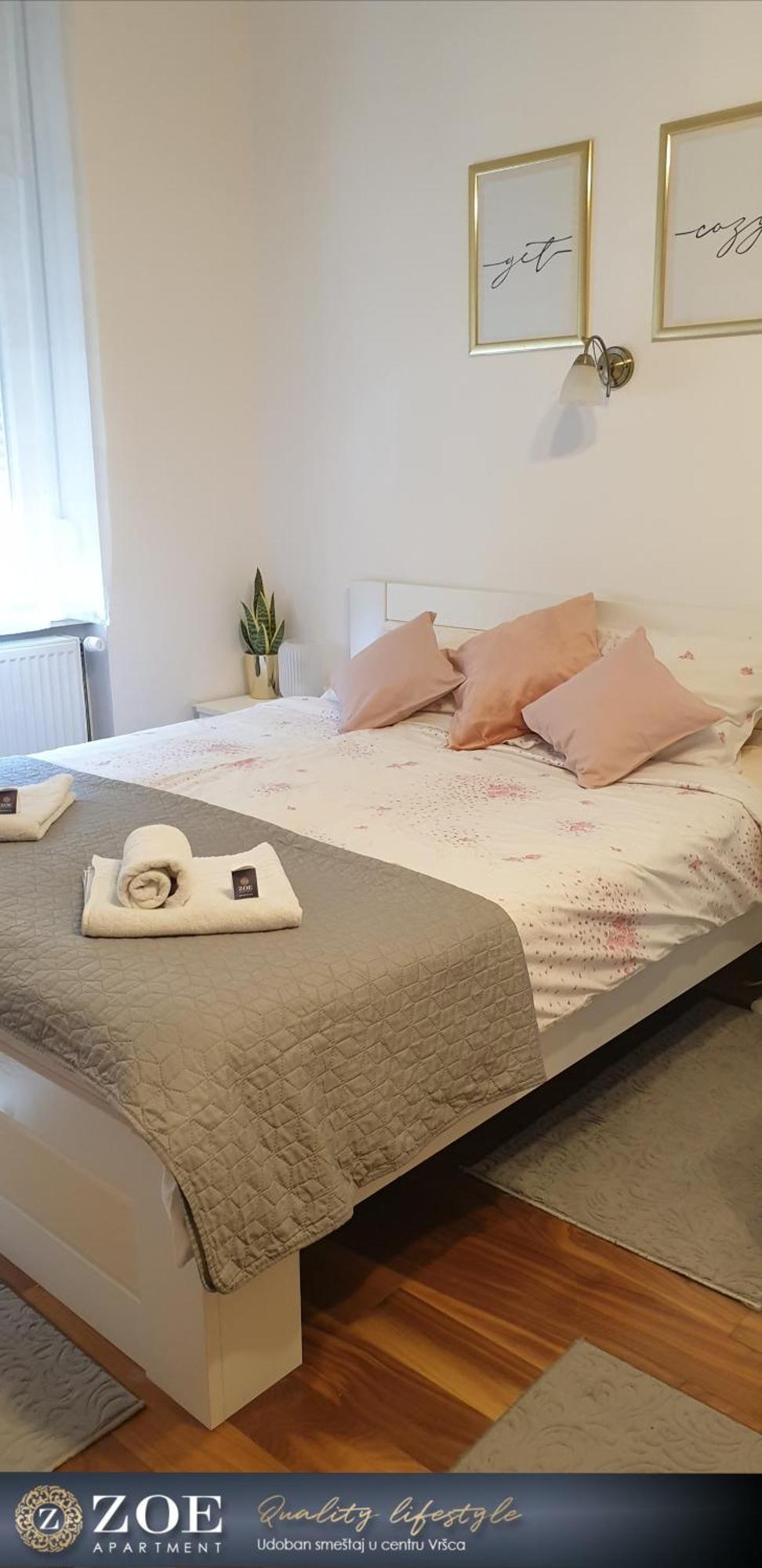 Zoe Apartment Vrsac Extérieur photo